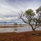 Desert Lagoon